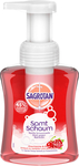 se/3669/1/sagrotan-flytande-tval-mousse-cherry-rose